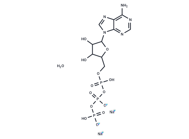 三磷酸腺苷二钠盐 ATP disodium salt hydrate CAS 34369 07 8 生命科学产品与技术服务 生工