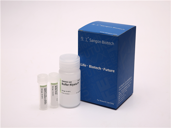 Rna Plant Total Rna Isolation Kit