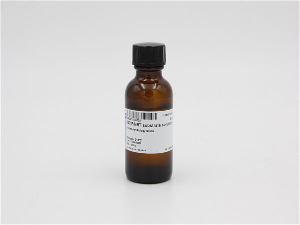 BCIP/NBT底物溶液,BCIP/NBT substrate solution 生命科学产品与技术服务-生工生物工程(上海)股份有限公司