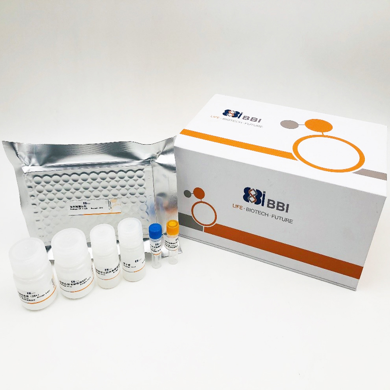 大鼠免疫球蛋白A(IgA)ELISA试剂盒,Rat IgA(Immunoglobulin A) ELISA Kit 生命科学产品与技术服务-生 ...