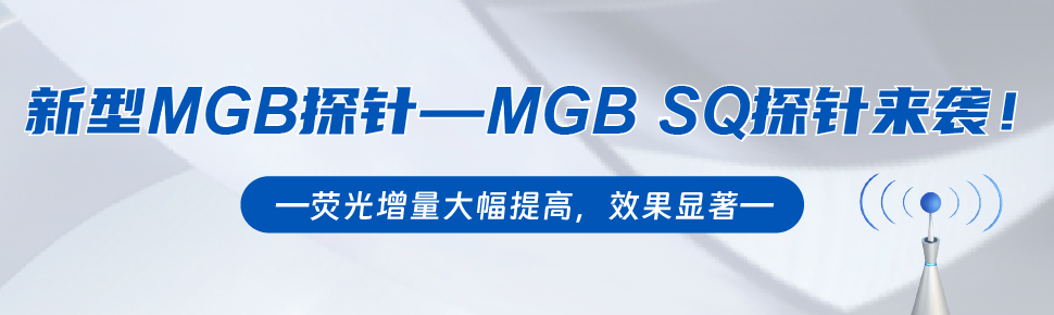 MGB SQ全新上市 