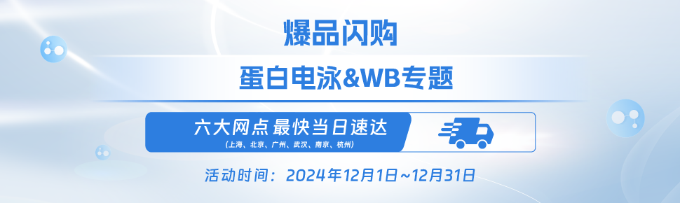 爆品促销之蛋白电泳&WB专题 