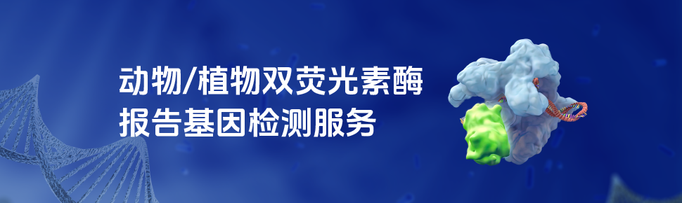 双荧光素酶报告基因检测服务新品上市 