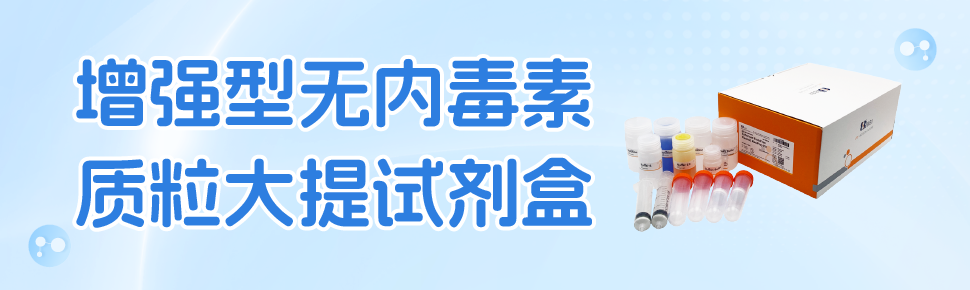 增强型无内毒素质粒大提试剂盒新品上市 