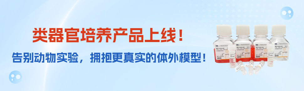 类器官产品上新 