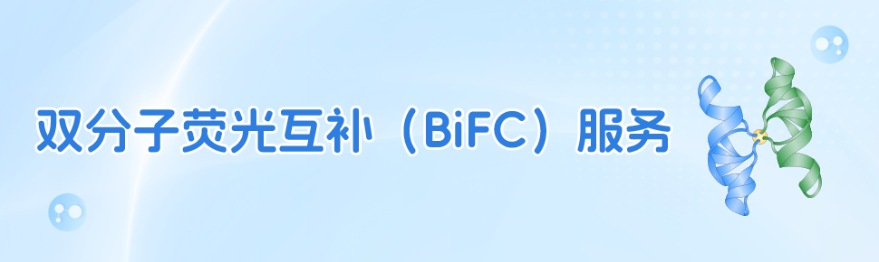 双分子荧光互补（BiFC）服务新品上市 