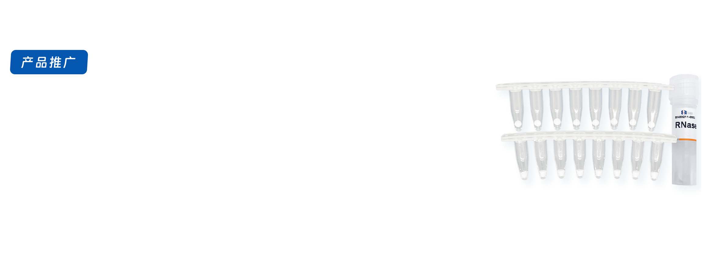 DNaseRNase残留检测试剂盒