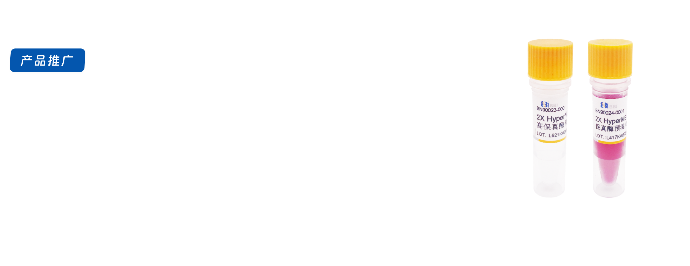 2X HyperMB HiFi超快速高保真酶预混液重磅上市