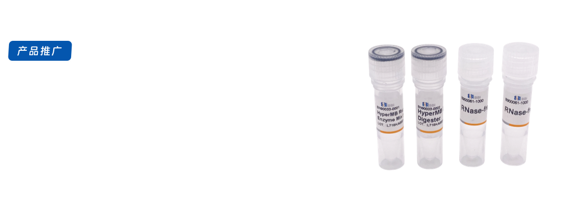 HyperMB快速逆转录试剂盒新品上市