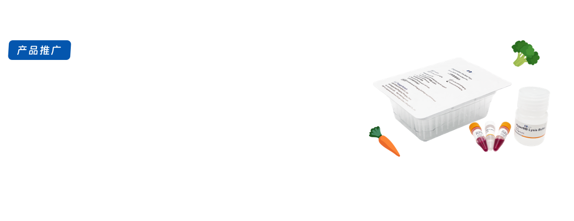 实验室放心“预制菜”