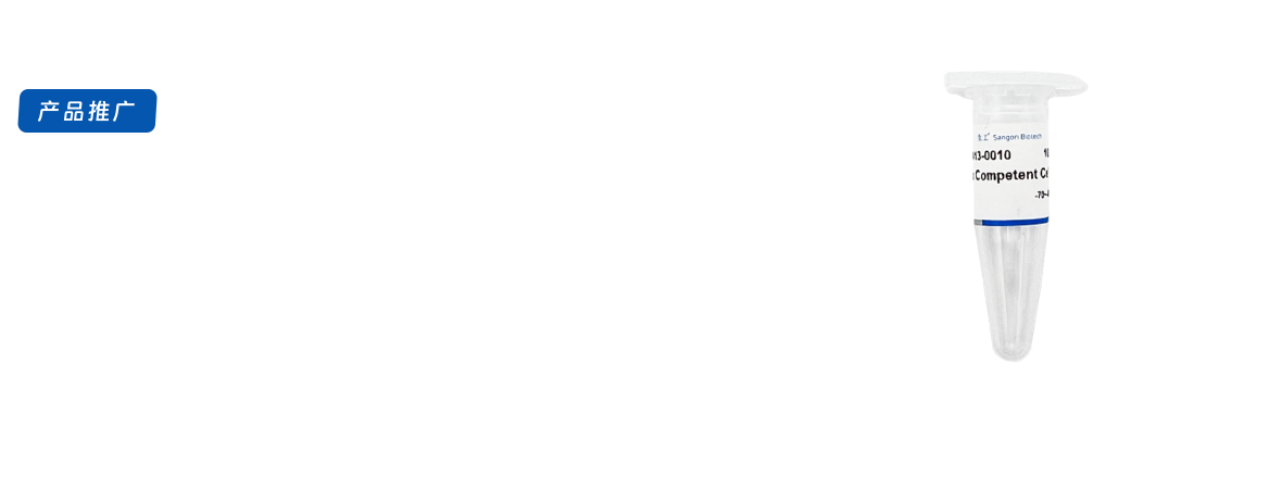 感受态细胞