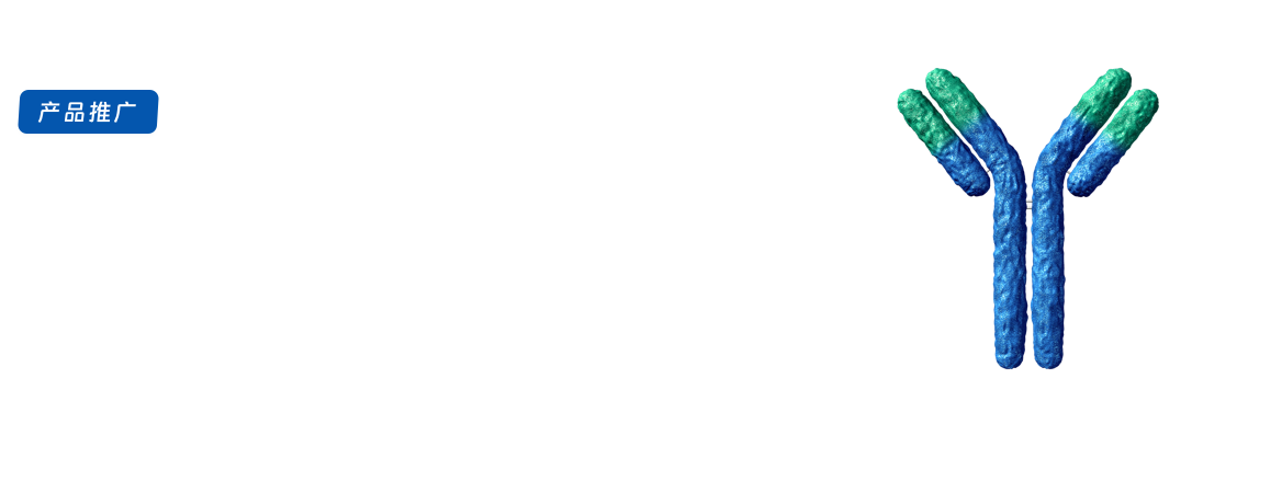 单B细胞抗体发现服务