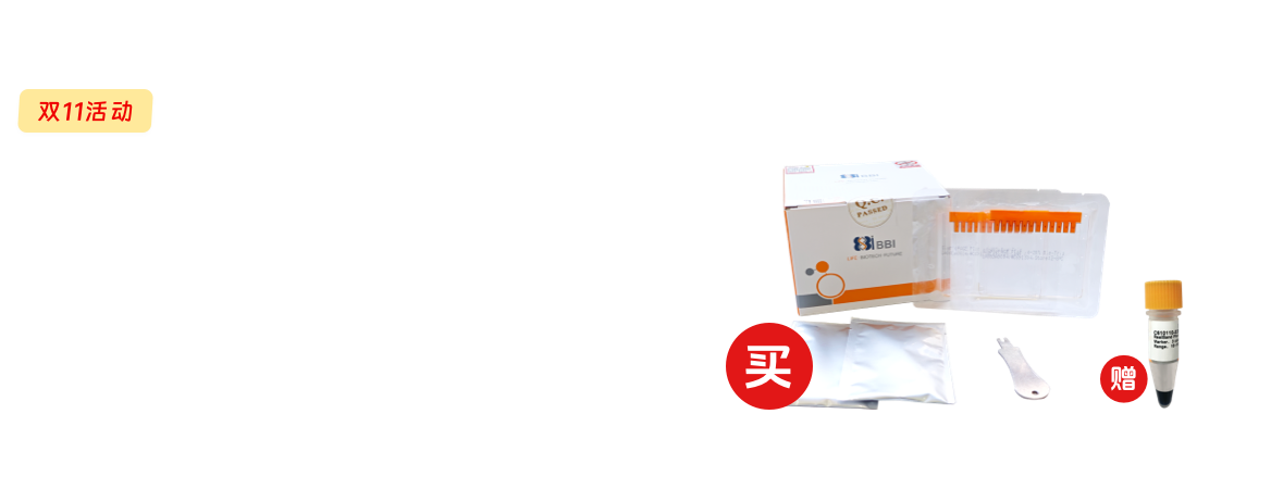 双11买预制胶送预染蛋白Marker