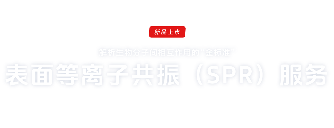 表面等离子共振（SPR）服务