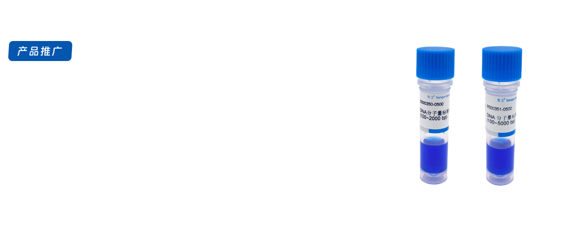 DNA Marker系列产品推广单页更新