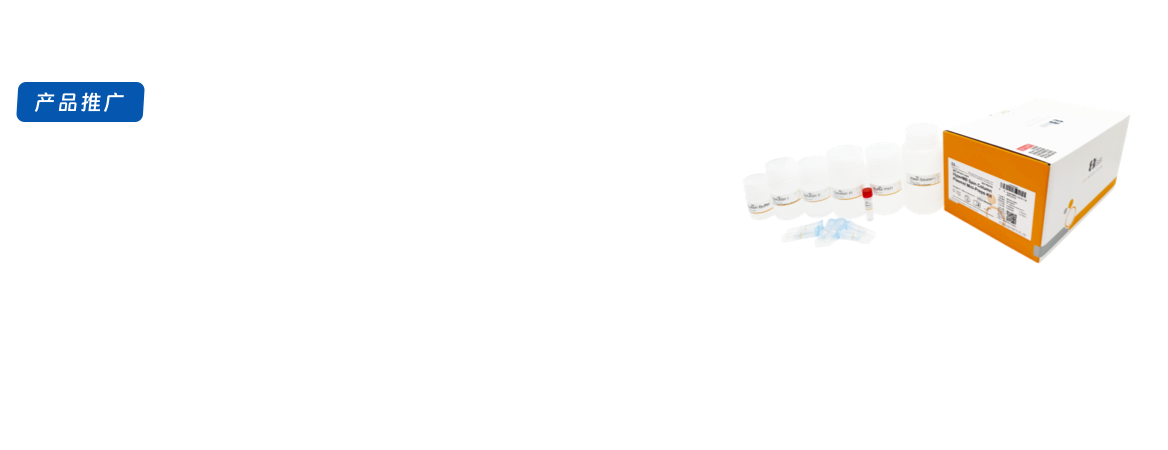 HyperMB柱式质粒小量抽提试剂盒产品