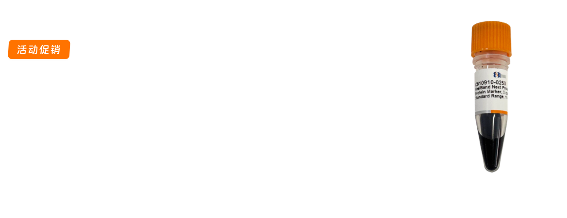 RealBand Next预染蛋白Marker买一送一促销
