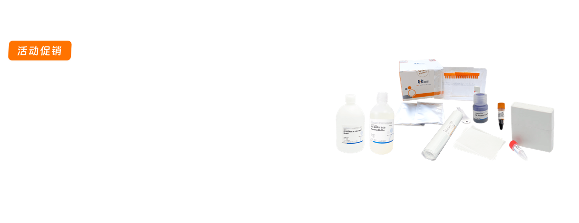 Western Blot实验产品促销
