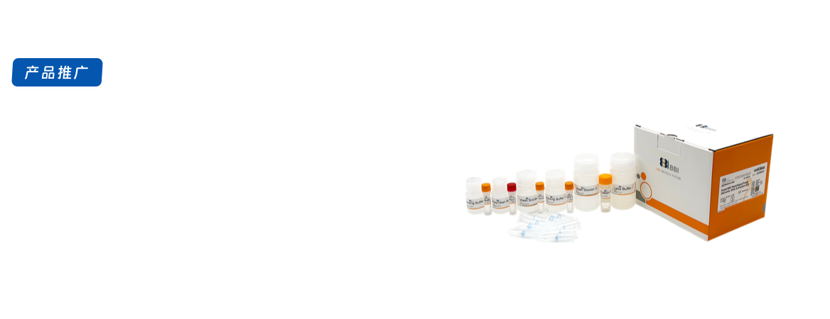 HyperMB植物藻类真菌基因组DNA提取试剂盒