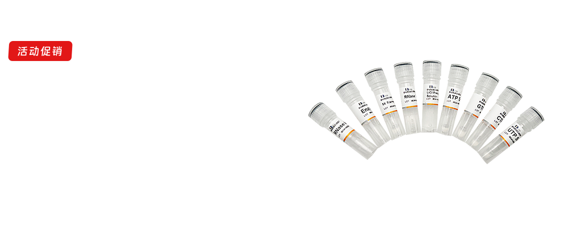 体外转录试剂盒促销