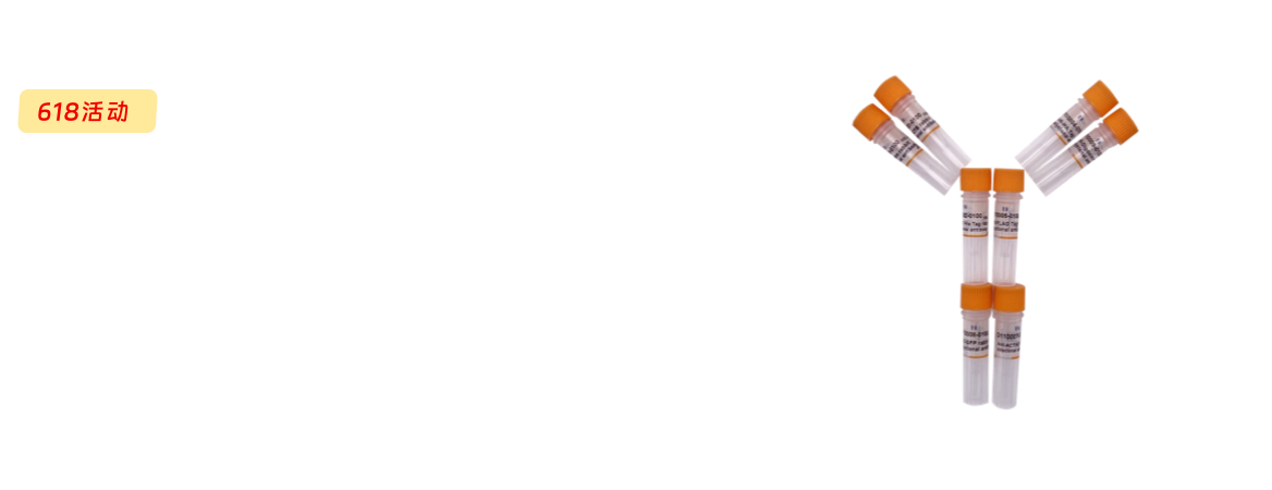 抗体促销