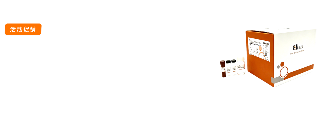 腺病毒&慢病毒实验试剂盒促销_未定义