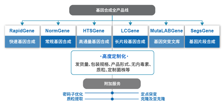 基因合成产品线